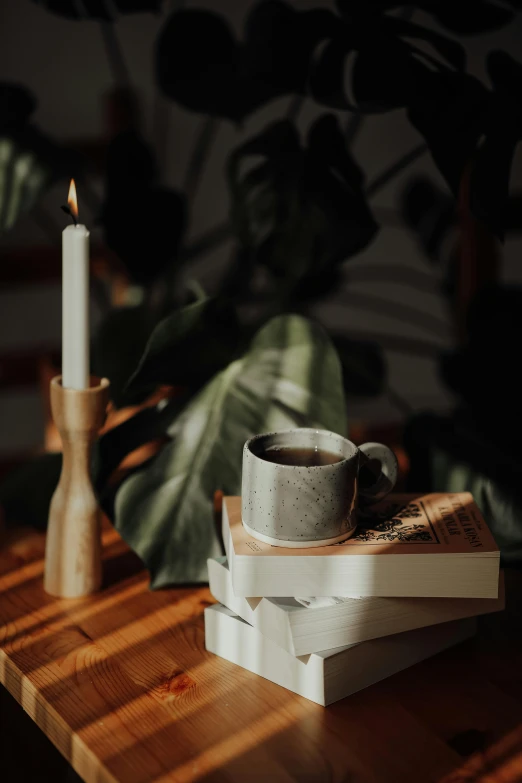 two books on a table with a lit candle