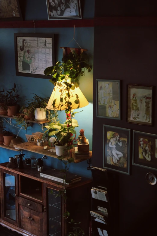 living room scene with plant area, large cabinet and blue walls