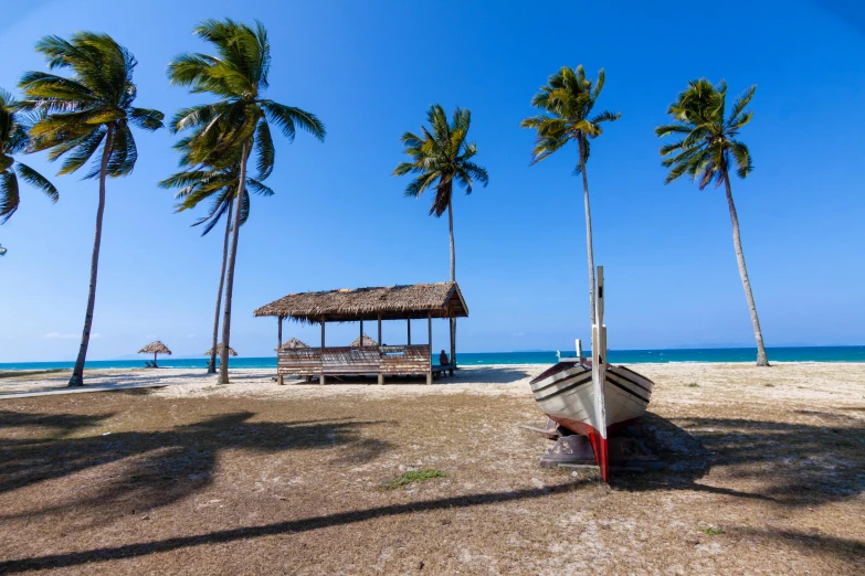 boat in the foreground, next to an island with palm trees