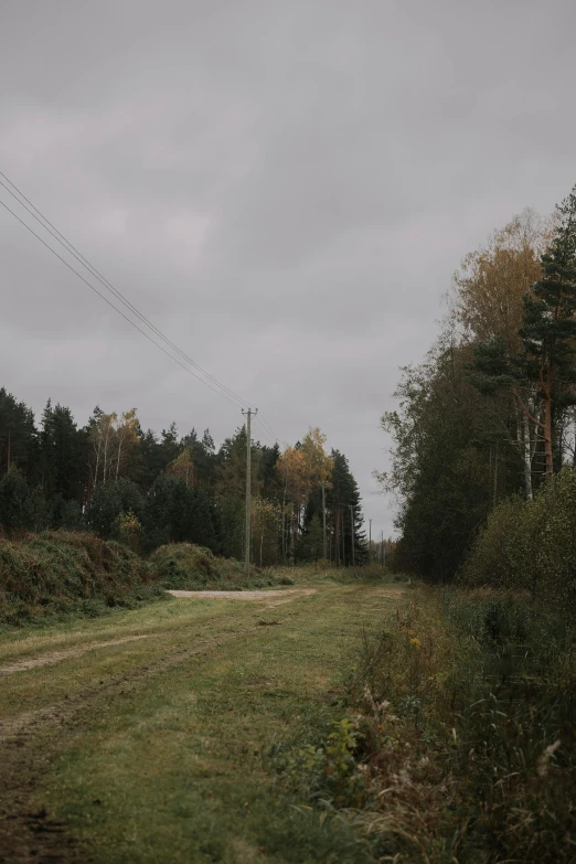 a large field in the middle of the woods