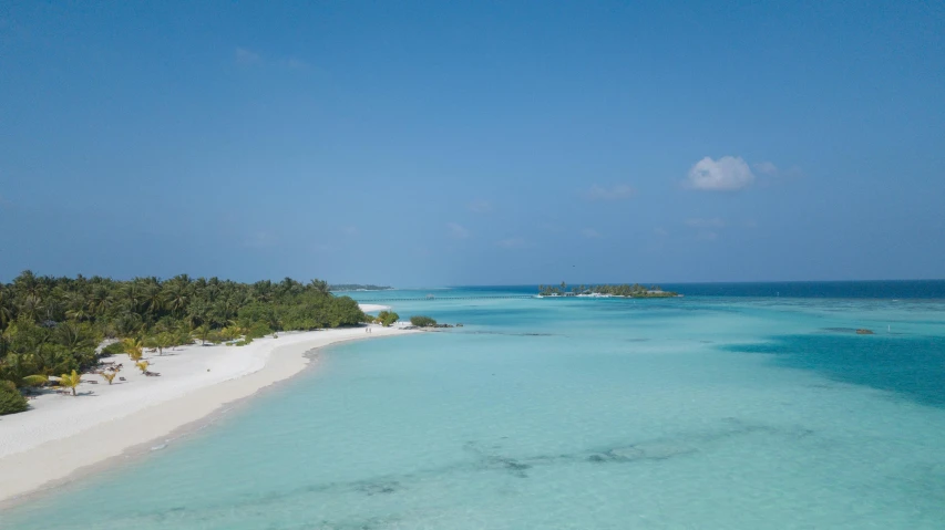 blue lagoons and trees line a white beach