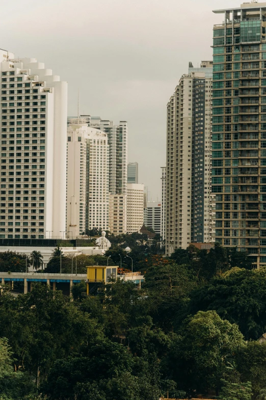 some buildings are seen in the distance behind some trees