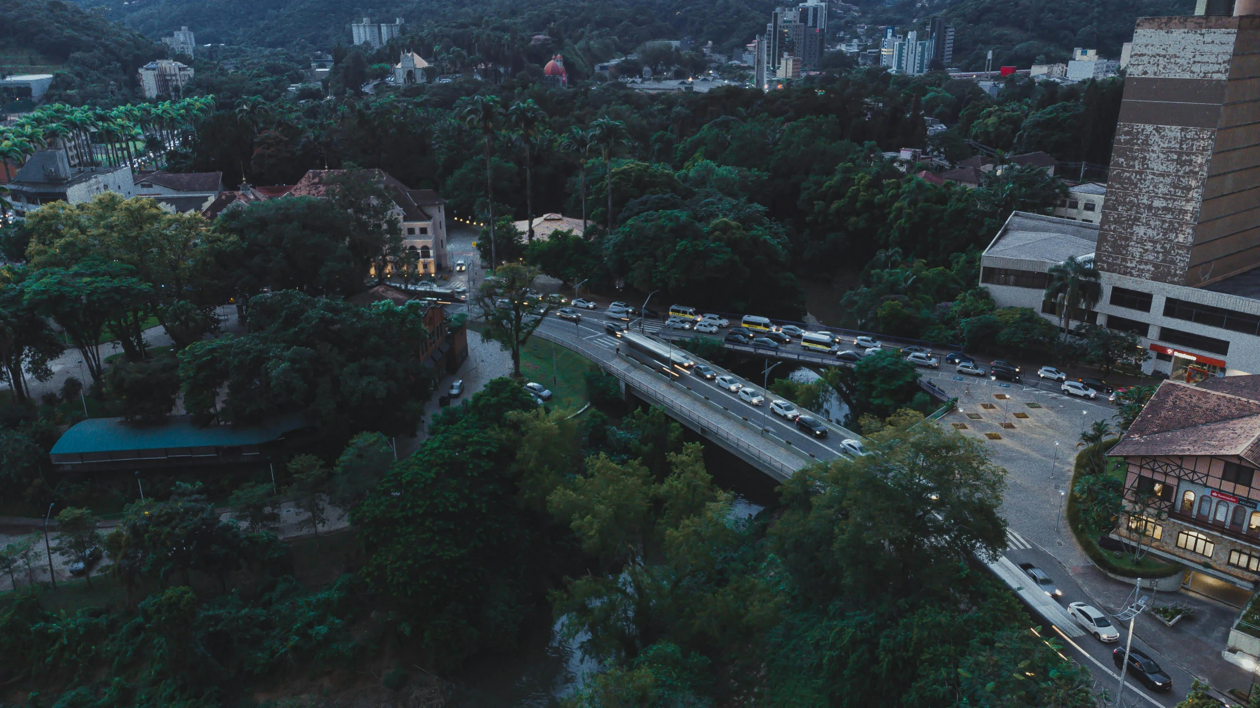 an aerial view of a street in the middle of a forested area