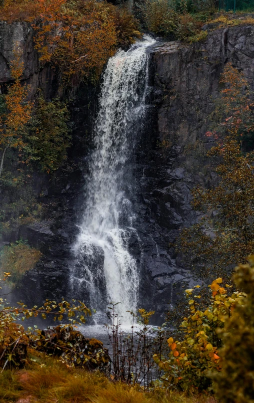 a view of an impressive waterfall with autumn foliage around it