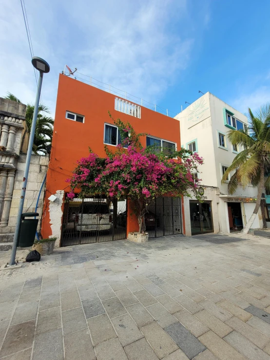 a building with pink flowers on it, and street lights