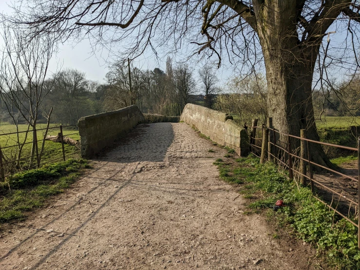 a stone bridge near a tree on a dirt path