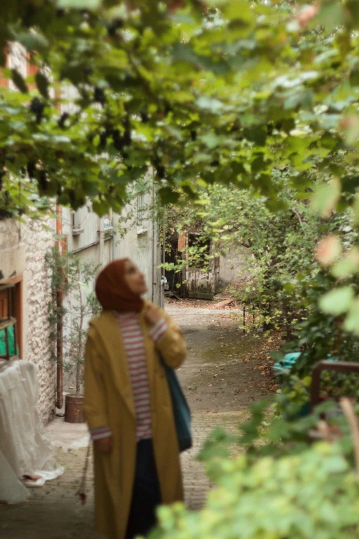 woman walking on pathway between two trees