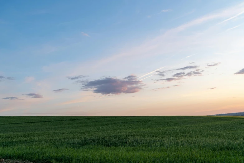 a small patch of land that looks very big