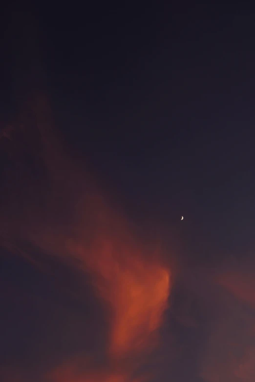 the moon in the night sky above some trees