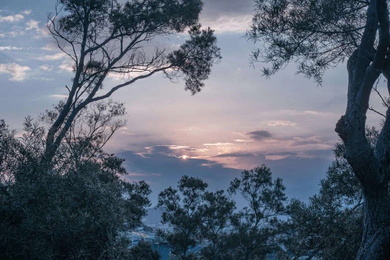 a cloudy sunset with a blue sky behind some trees