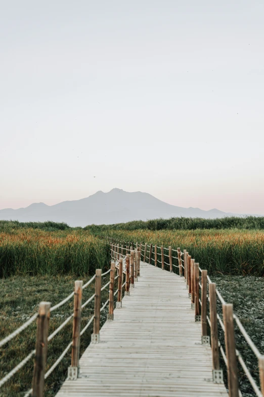 a white wooden path leads out towards an open field