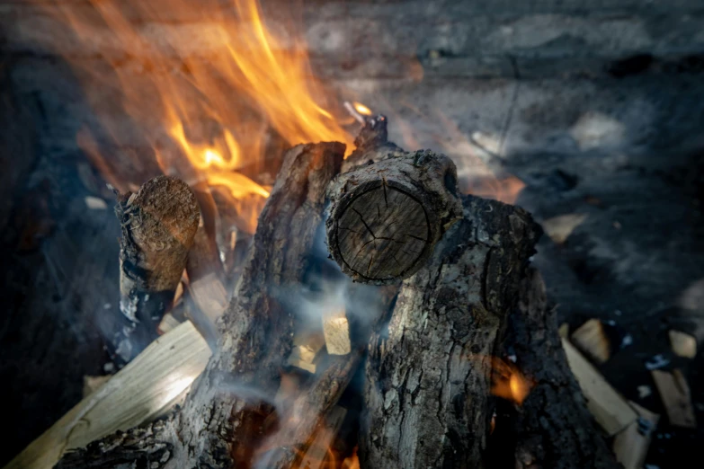 close up view of logs in the fire and the flames