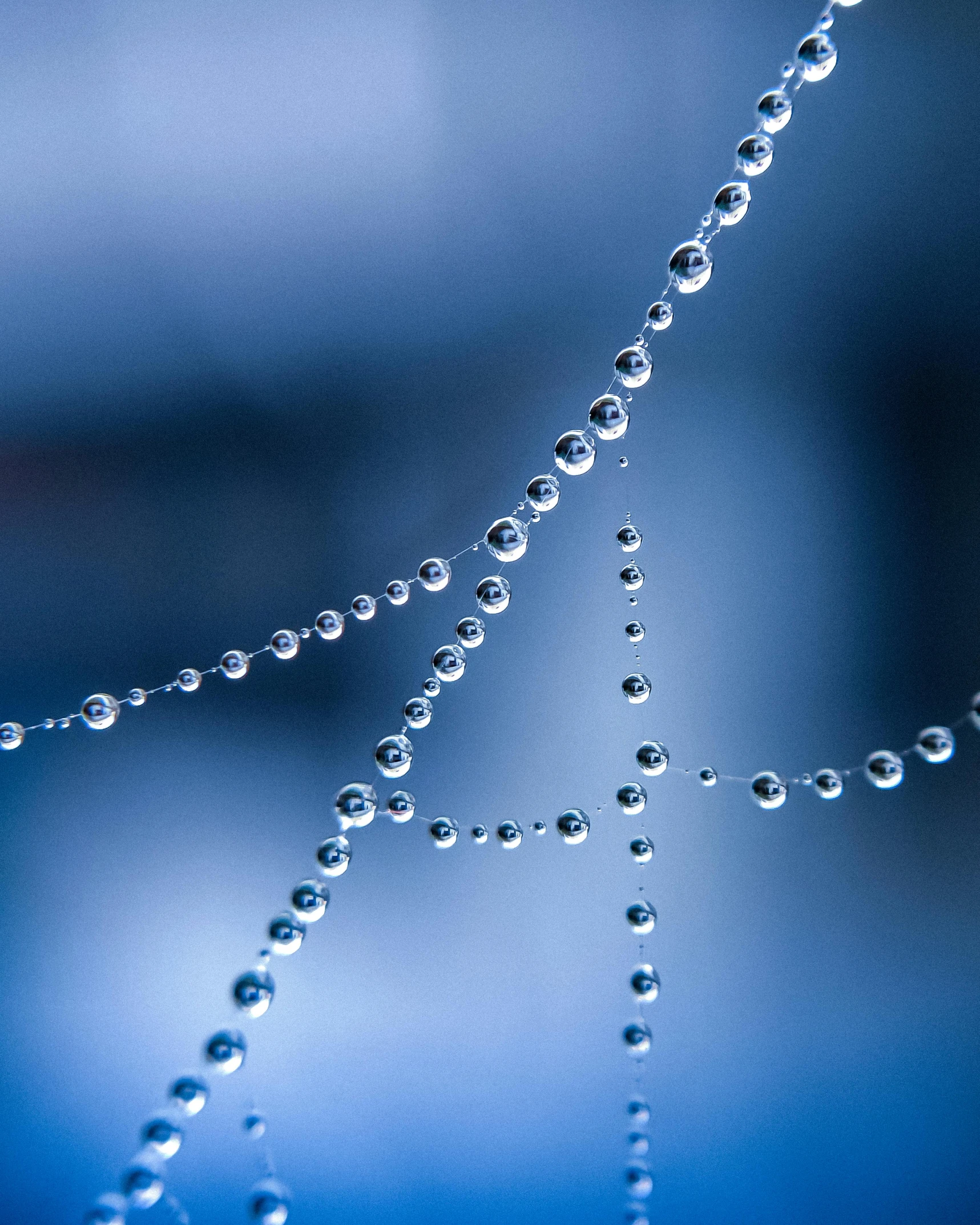 rain drops sitting on top of a spider web