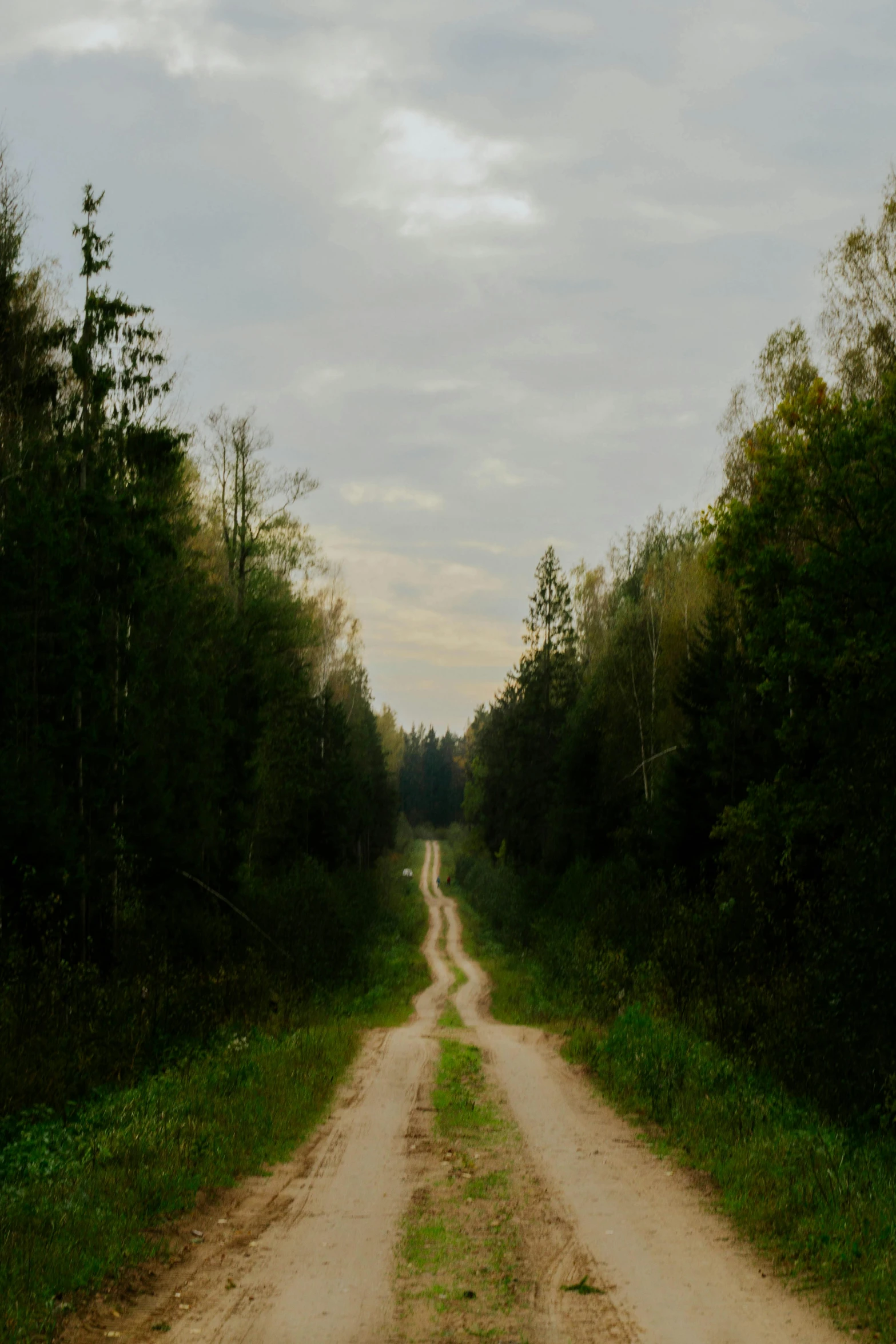 a dirt road in a wooded area on a cloudy day