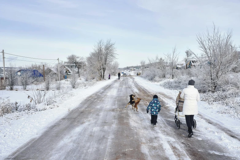 people and a dog walk on a snowy road in the country