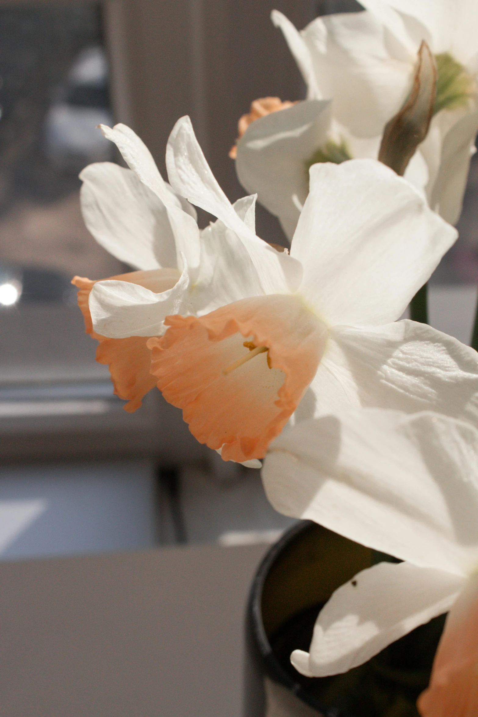 two white flowers are standing on a small table