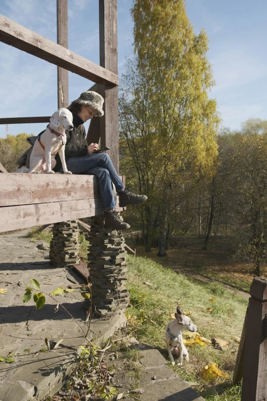 a girl sitting on a wooden bench with two dogs