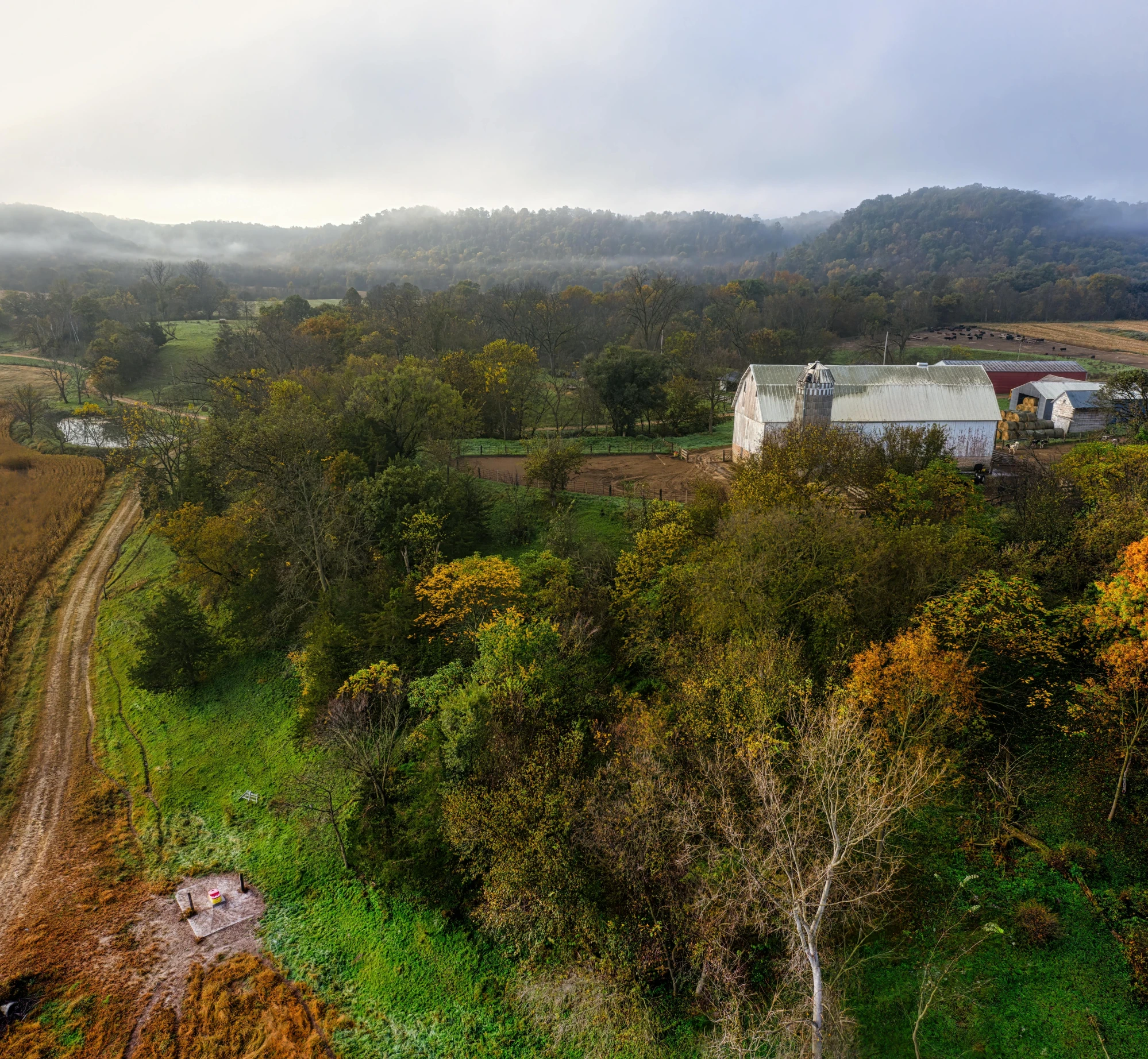 a farm and a barn surrounded by trees