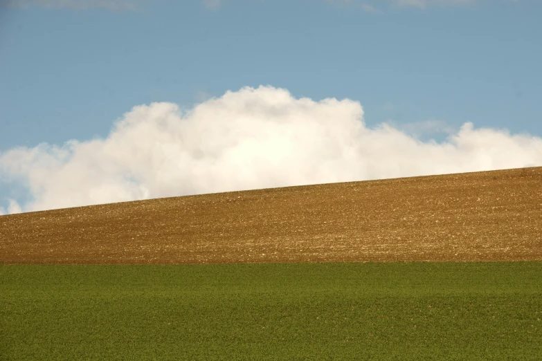 a horse grazes on the side of a hill