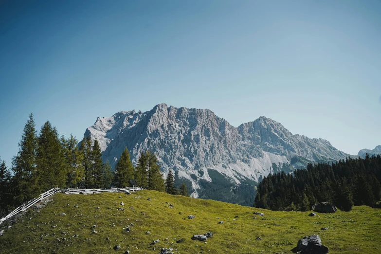 a grassy mountain with many rocks and trees on top