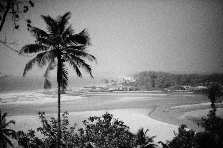 an ocean shore and trees in a dark colored landscape