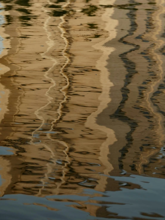 a reflection of the trees in the water