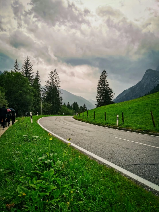 an animal is walking near the road in the field