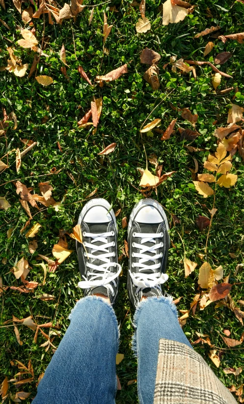 a person's shoes standing in the grass next to leaves