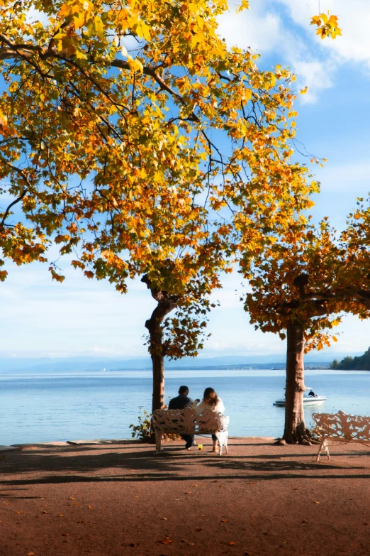 a couple is sitting on a bench by the water