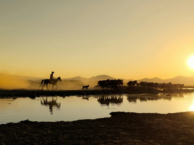 a person is riding on a horse near water