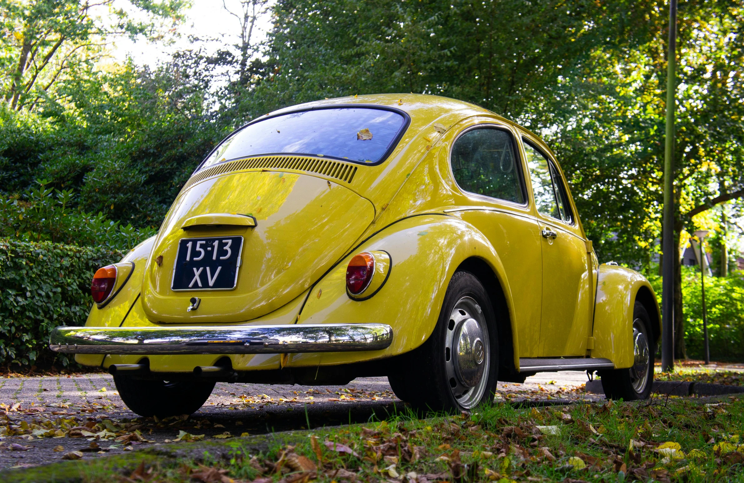 a yellow volkswagen beetle parked on a tree lined street