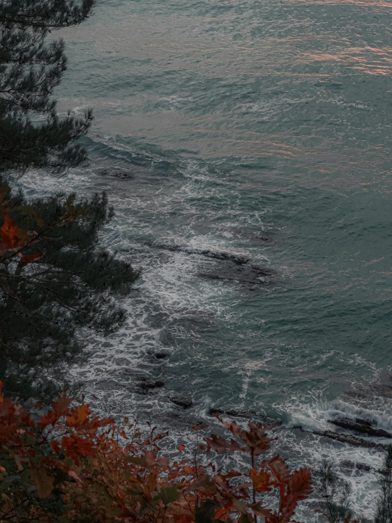 a boat sails over an ocean surrounded by a tree