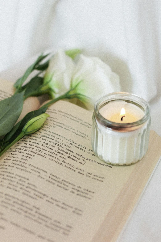 the lit candle on the book is beside a small flower