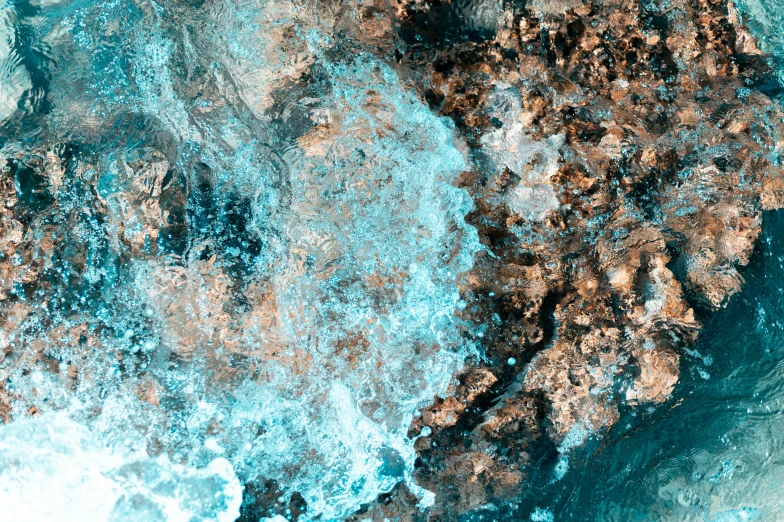 aerial view of orange moss and water and rocks