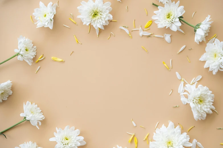 flower arrangement on light brown background with white flowers