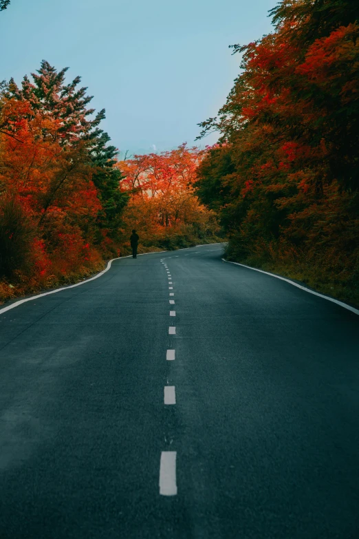 a person is standing on an empty road in the middle of trees