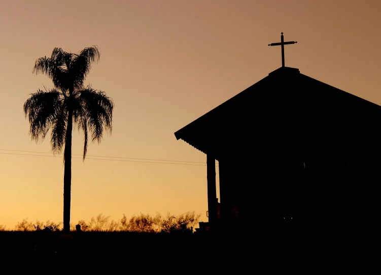 a palm tree at sunset over a church with a cross