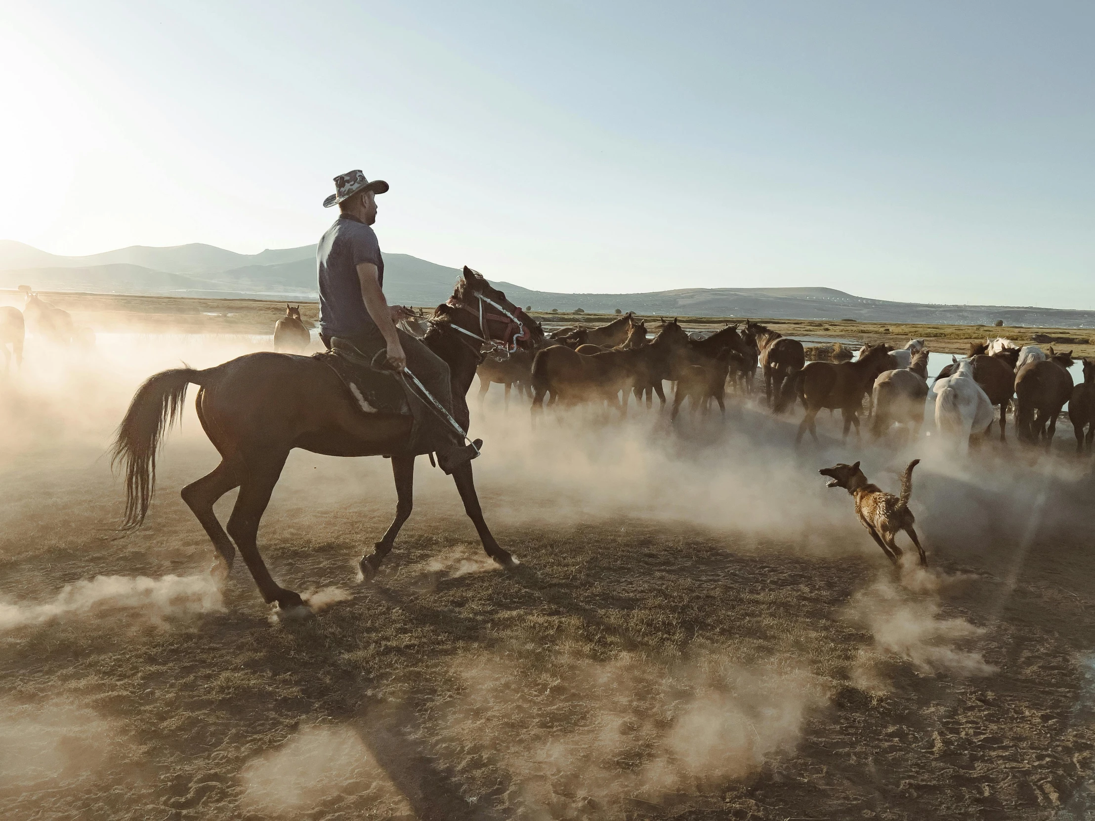 an image of a man on horse chasing a dog