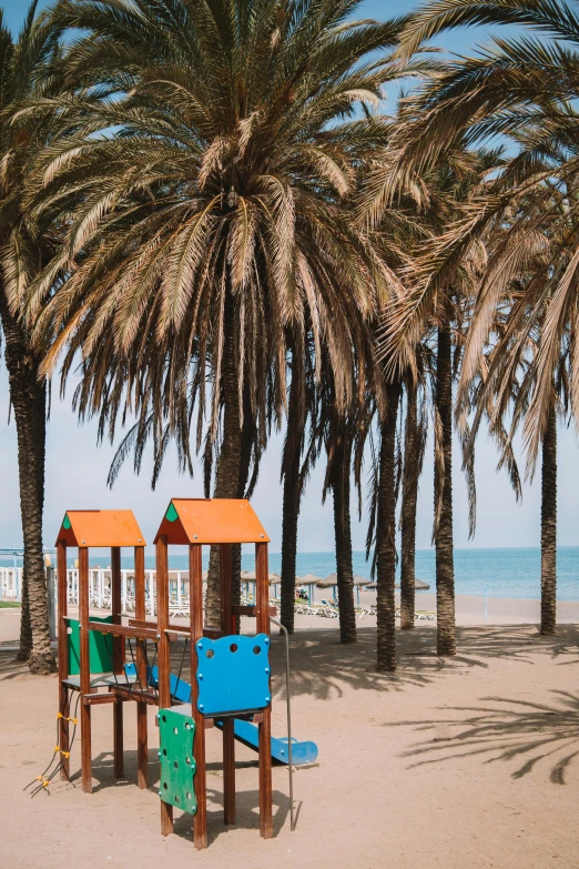 some palm trees that are by a play ground