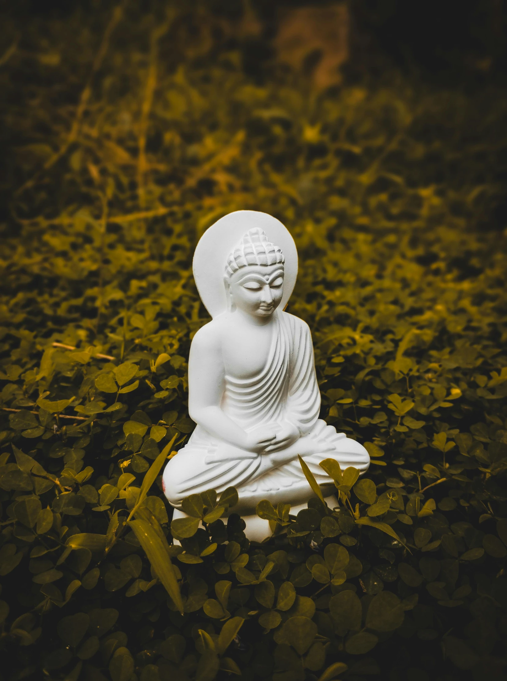 a buddha statue sits in some leaves on a field