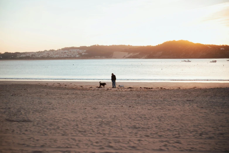 a man and his dog are standing in the sand at sunset