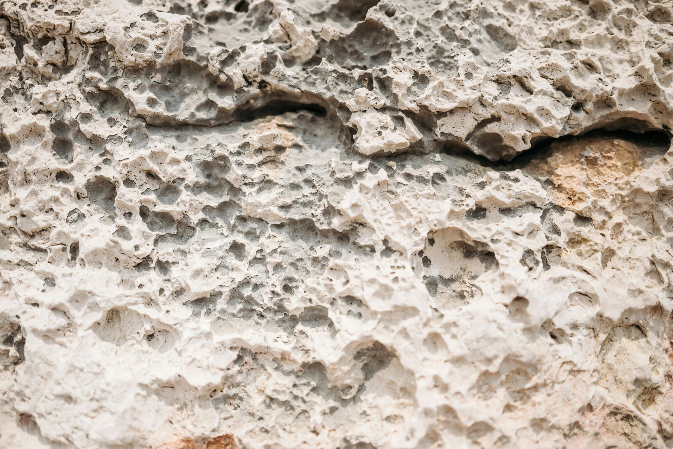 white stucco texture with a few bumps of brown