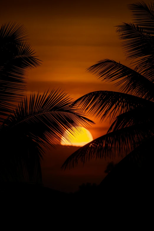 a sunset from a window in a building