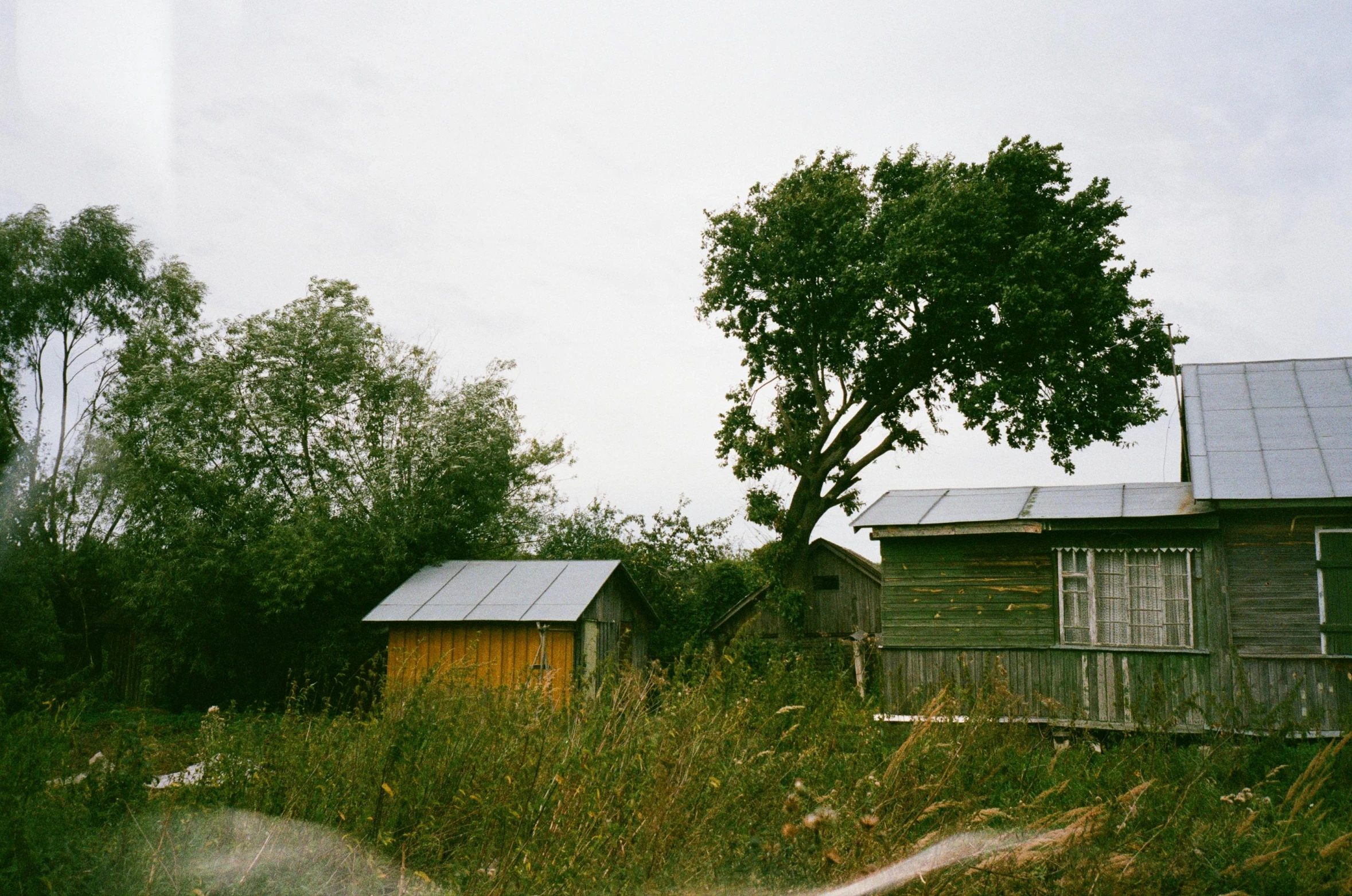 an old house with a tree and other homes