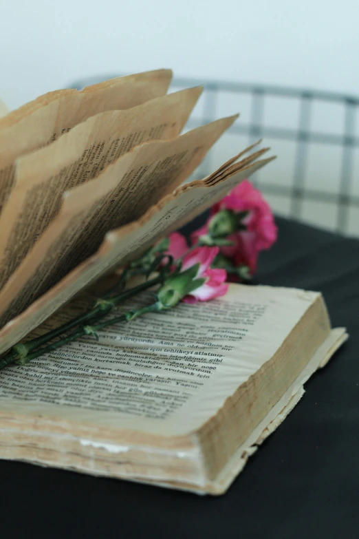 open old book with pink flowers on top