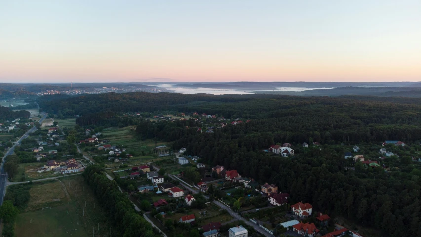 an aerial view of a forest with houses