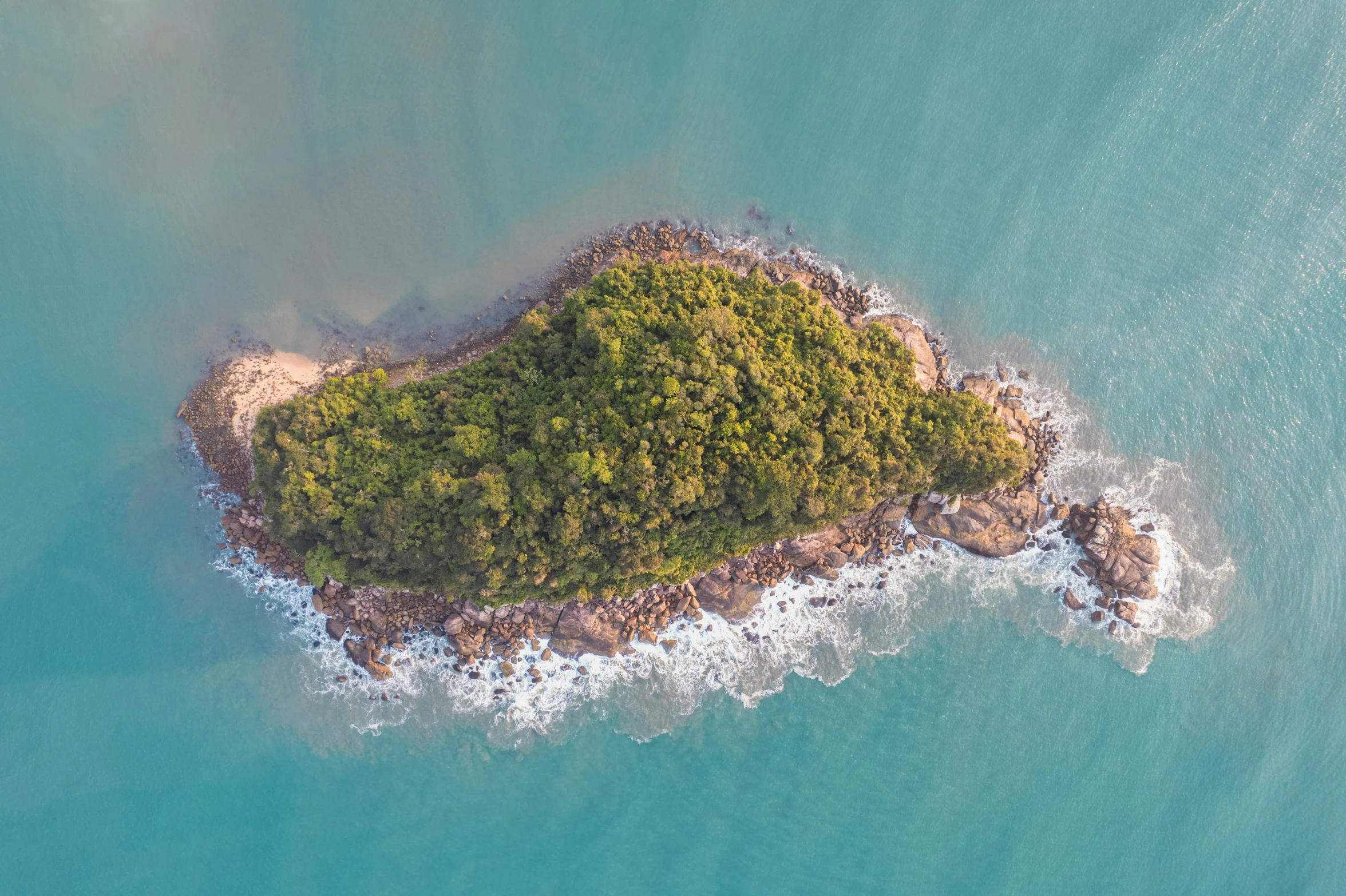 an island with several trees growing in the ocean