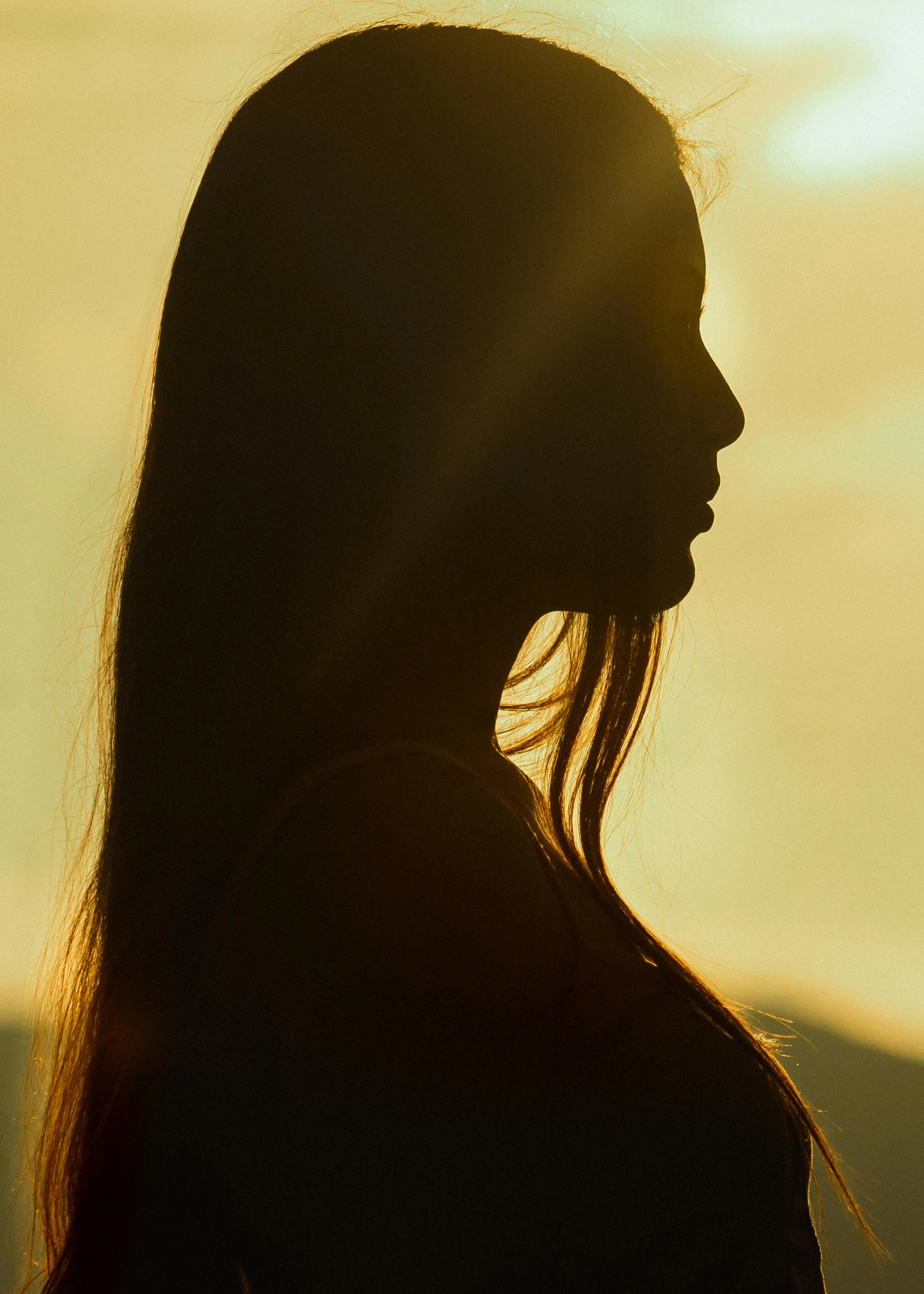 a silhouette of a woman's face is shown against the sun