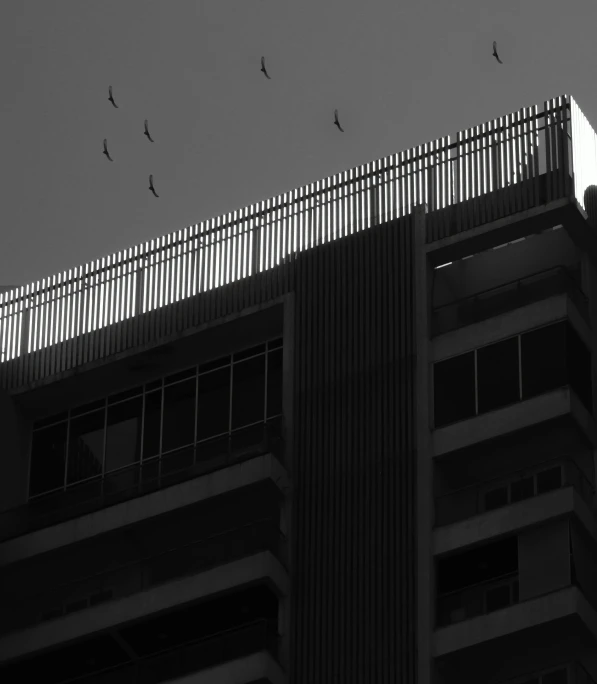 birds are flying above the top of a high rise building