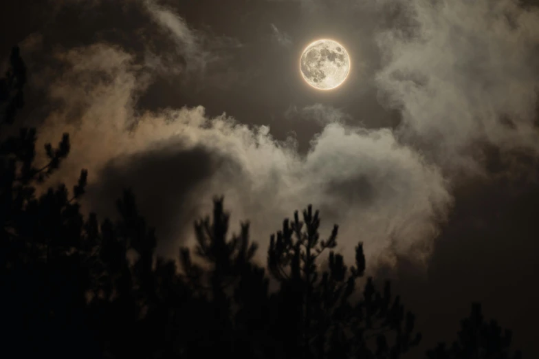 a full moon is visible behind tree tops